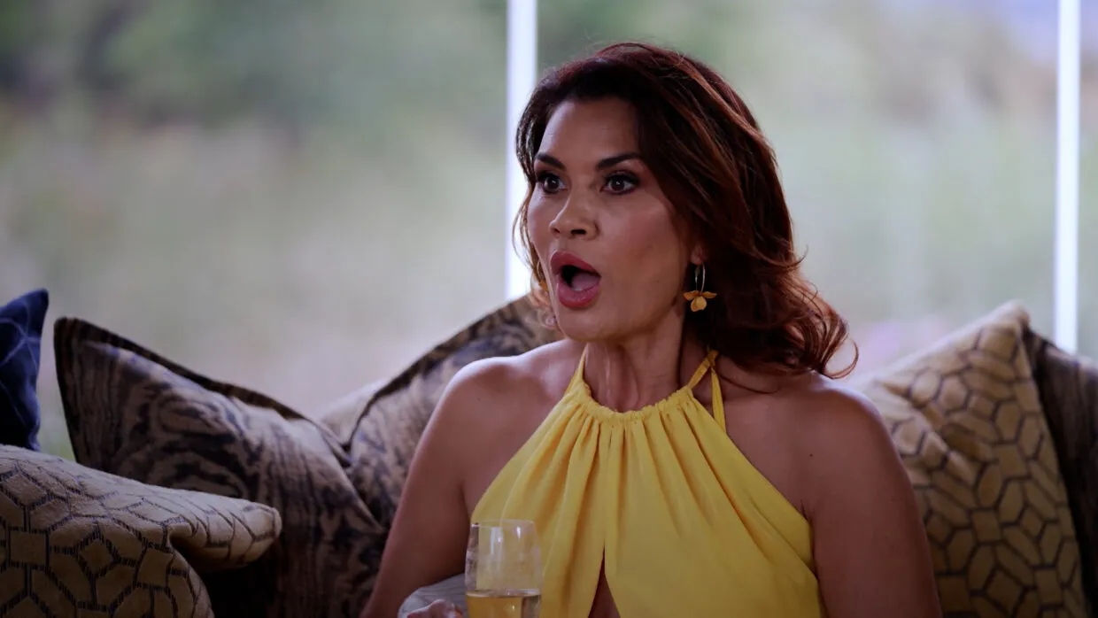 Real Housewives van die Wynlande 