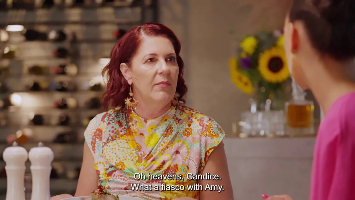 Real Housewives van die Wynlande