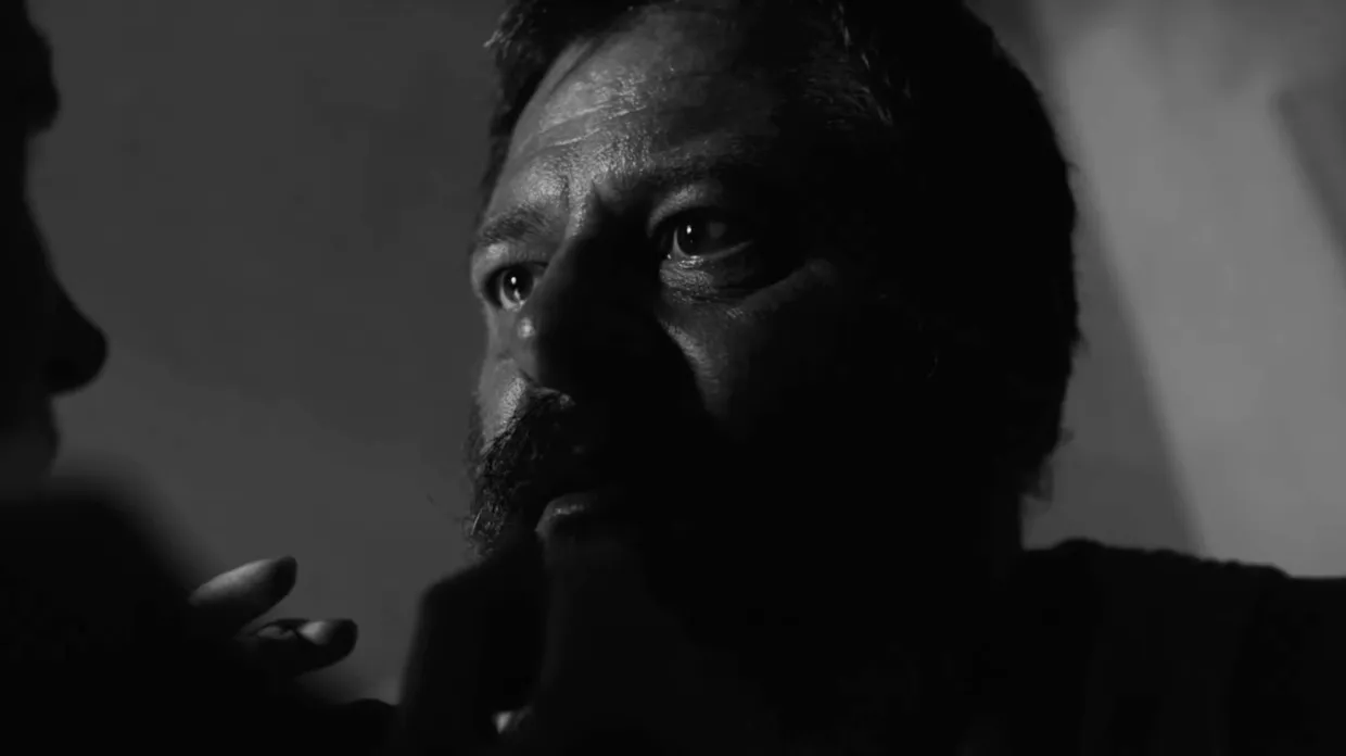 Hen, Silwerskermfees, Nico Scheepers