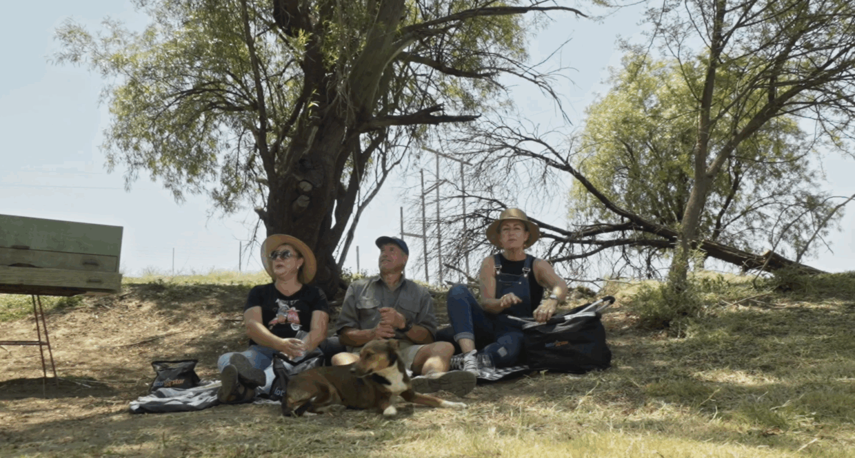 Boer soek 'n vrou