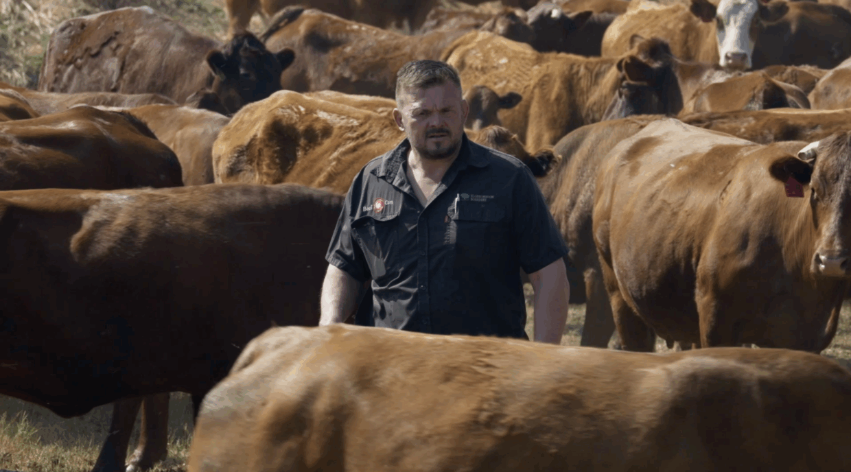Boer soek 'n Vrou S18 David