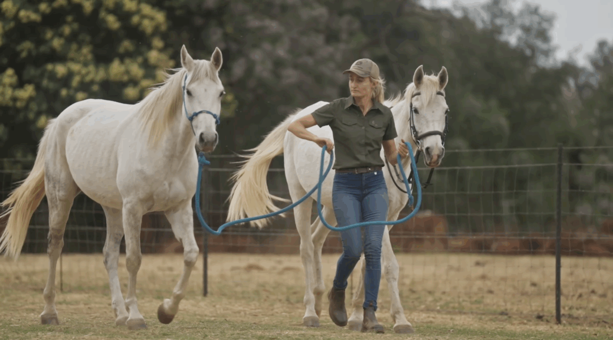 Boer soek 'n vrou S18